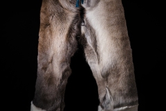 Darren-Hamlin-Photography-1-reindeer-skin-trousers